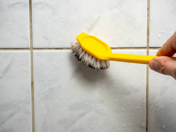 Best Attic Mold Removal  in Lonaconing, MD