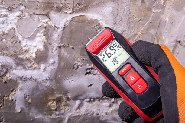 Mold Testing and Removal in Lonaconing, MD
