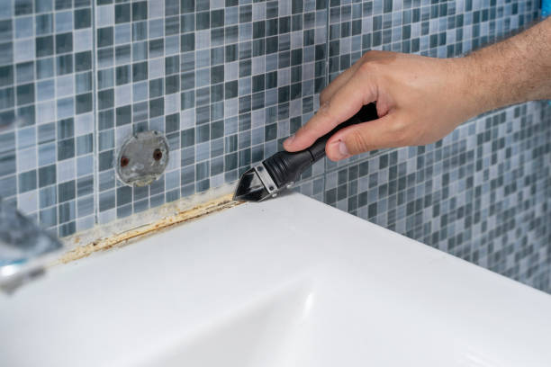 Certified Mold Removal in Lonaconing, MD